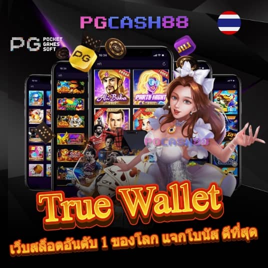เว็บใจดี24